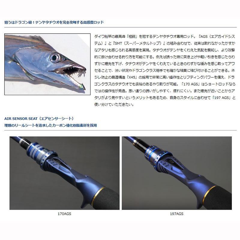 鴻海釣具企業社《DAIWA》極銳 TACHIUO TENYA SP 197AGS 天亞竿-細節圖2