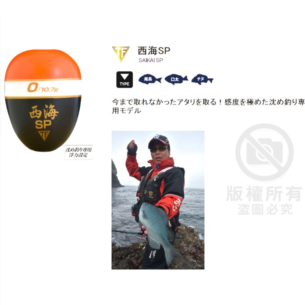 中壢紅海釣具【TSURIKEN】釣研 西海SP 單錐阿波  磯釣阿波-細節圖8
