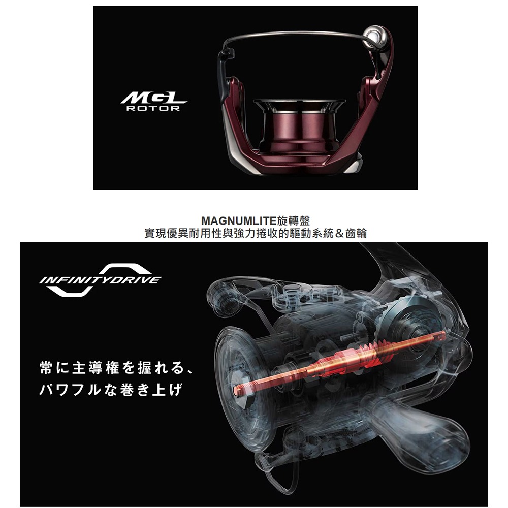 中壢紅海釣具【SHIMANO】SEPHIA XR 軟絲捲線器 (25年款)-細節圖4