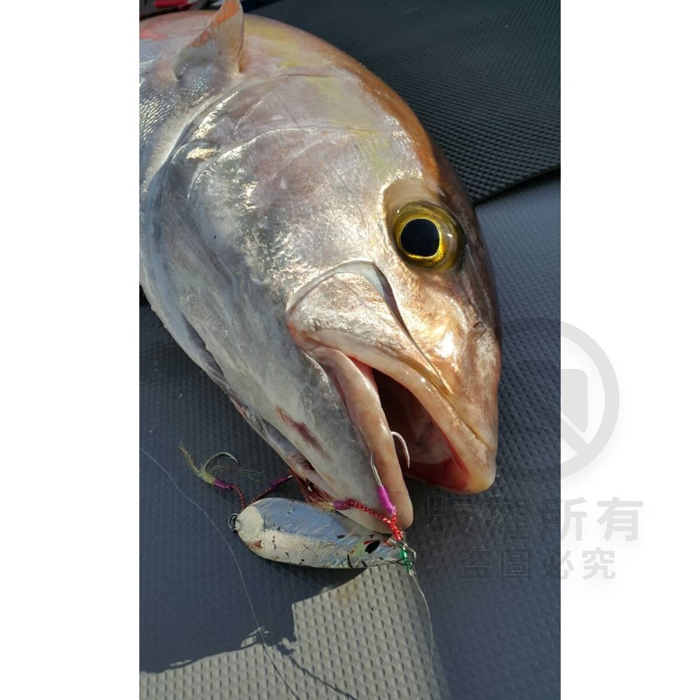 中壢紅海釣具【SAME】SLOW JIGGING 8086鐵板副鉤(短鉤) 路亞鉤 鐵板鉤 魚鉤 釣魚鉤 鐵板鈎-細節圖6