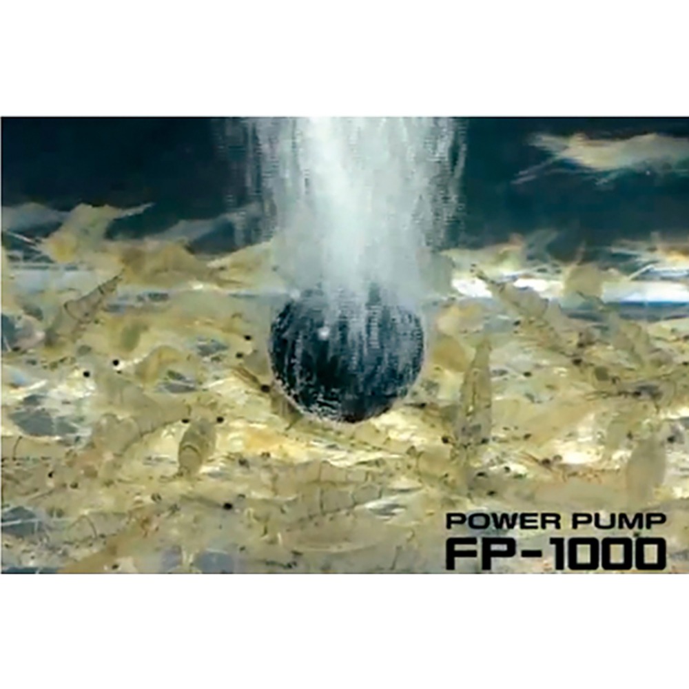 中壢鴻海釣具 日本【FUJI-TOKI】FP-1000 打氣幫浦 打氧機 打氣機 氣泡石 打氣石-細節圖4
