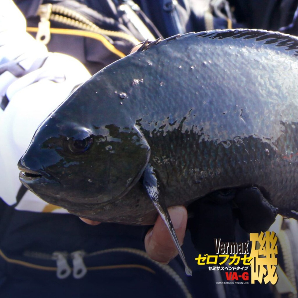 中壢紅海釣具【VARIVAS】VERMAX ゼロフカセ磯 中比重 磯釣母線 150m 螢光黃 尼龍線 沉水-細節圖7