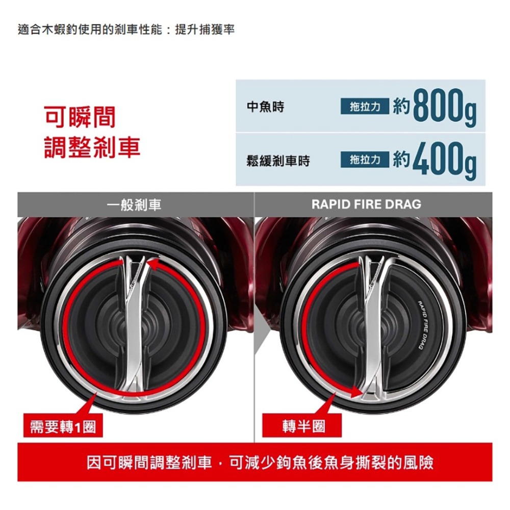 中壢紅海釣具【SHIMANO】SEPHIA BB CI4+ 蘇菲亞 軟絲捲線器  (26年款)-細節圖9