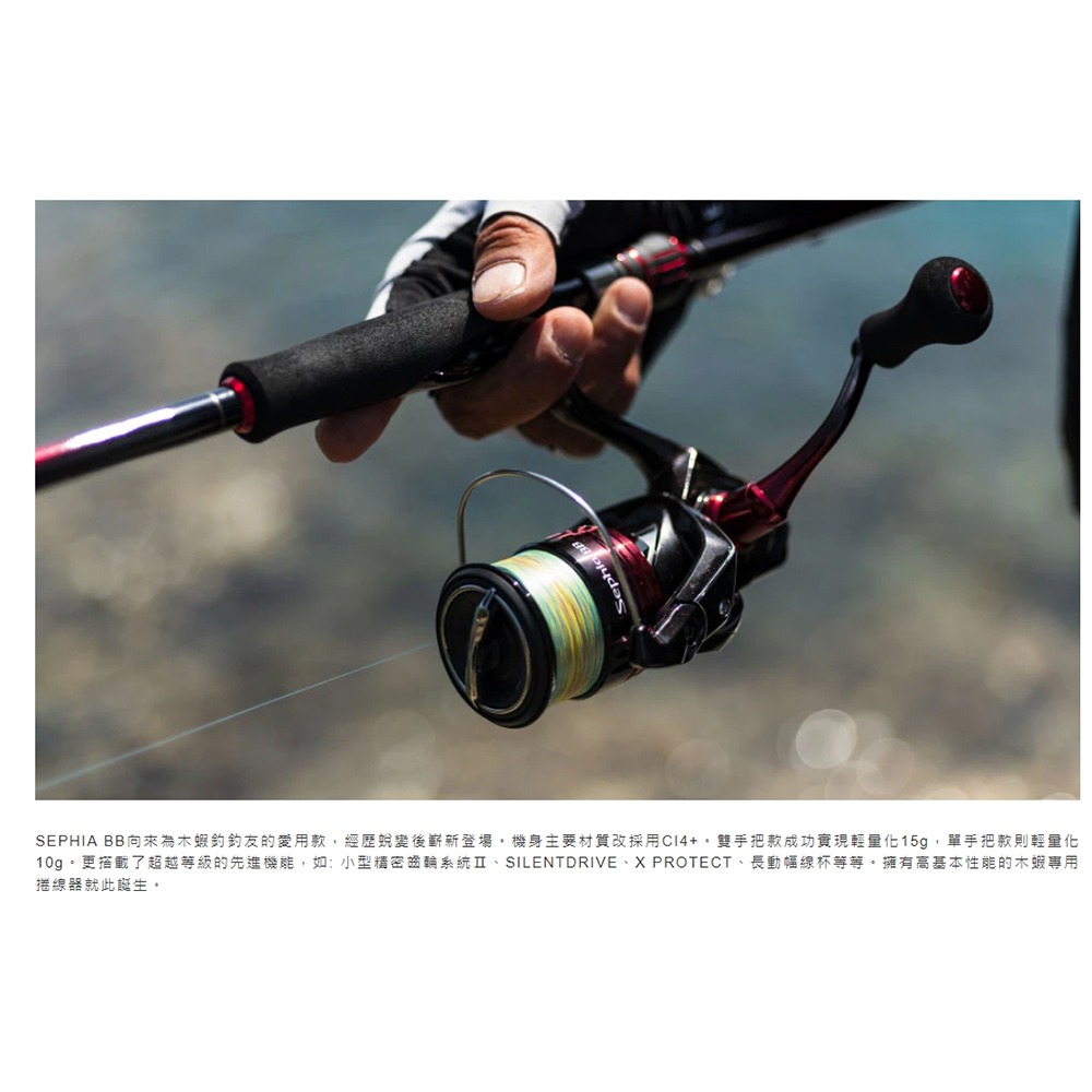 鴻海釣具企業社《SHIMANO》22 SEPHIA BB CI4+ 蘇菲亞 軟絲捲線器-細節圖7