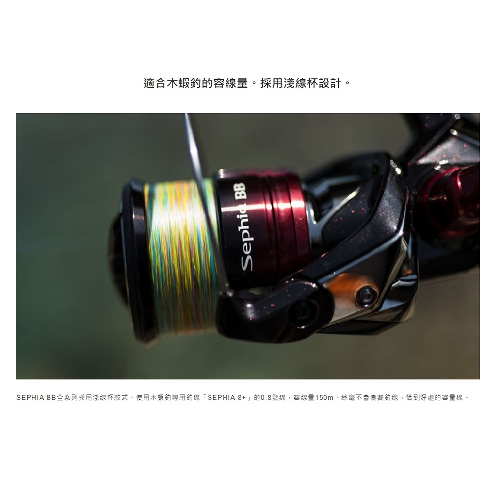 鴻海釣具企業社《SHIMANO》22 SEPHIA BB CI4+ 蘇菲亞 軟絲捲線器-細節圖8