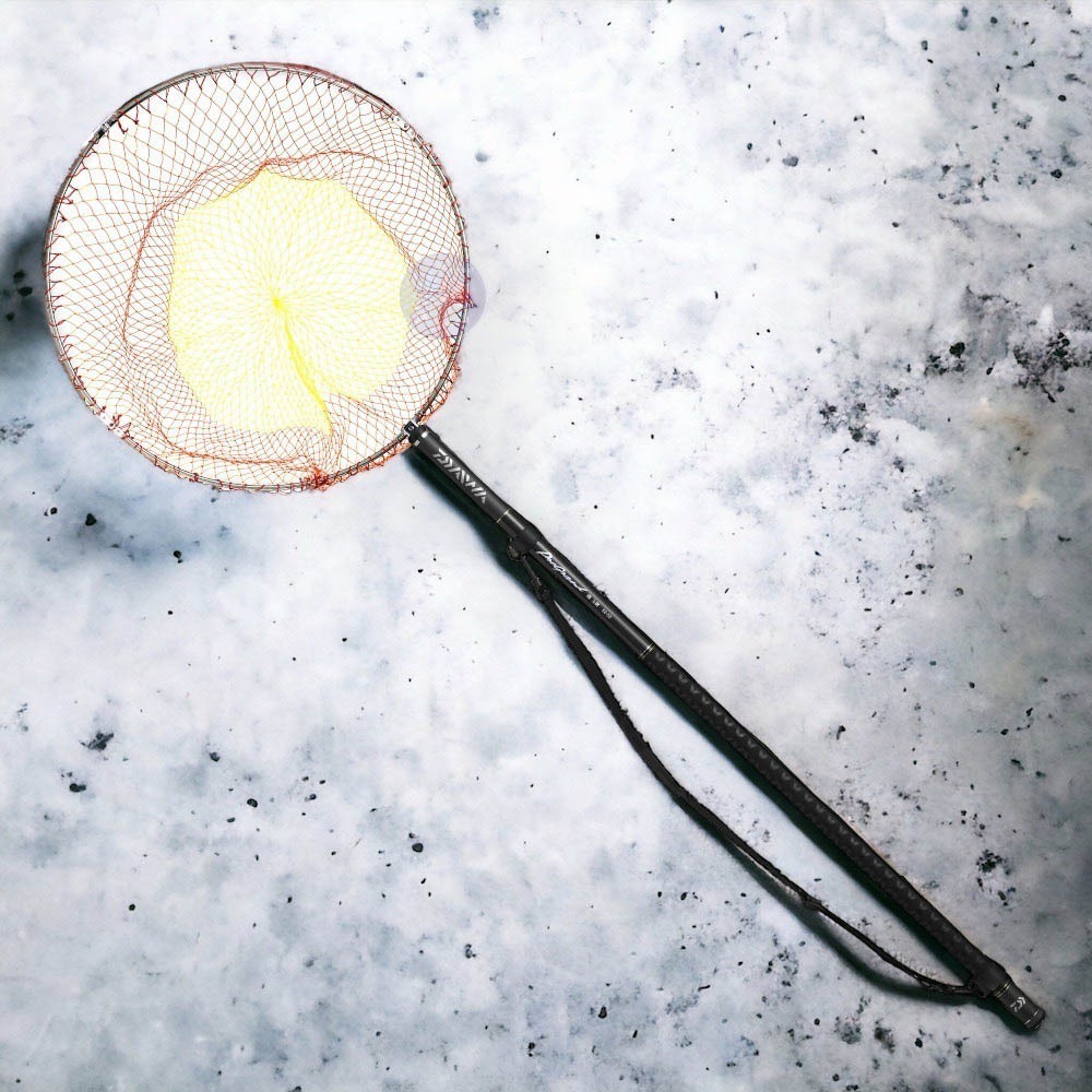 中壢鴻海釣具【DAIWA】PROGROUND ISO TAMAAMI  磯玉柄附網 23年秋磯款-細節圖2