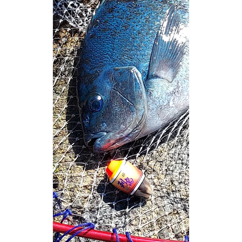 中壢鴻海釣具【赤蜻蛉】列島牛角 磯釣阿波 手作磯釣阿波 全游動 半遊動-細節圖5