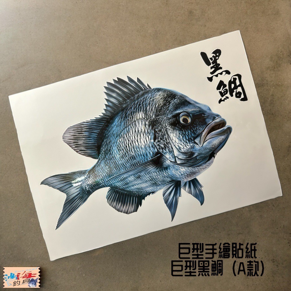 中壢鴻海釣具 原創手繪貼紙 黑鯛 真鯛 巨型黑鯛 冰箱 工具箱 裝飾 魚類防水貼紙-細節圖3