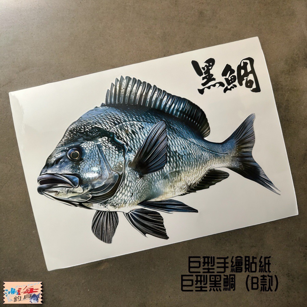 中壢鴻海釣具 原創手繪貼紙 黑鯛 真鯛 巨型黑鯛 冰箱 工具箱 裝飾 魚類防水貼紙-細節圖4