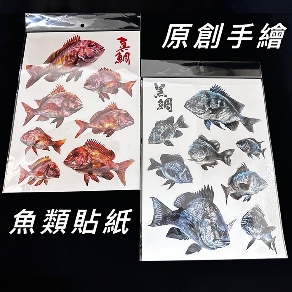 中壢鴻海釣具 原創手繪貼紙 黑鯛 真鯛 巨型黑鯛 冰箱 工具箱 裝飾 魚類防水貼紙-細節圖5