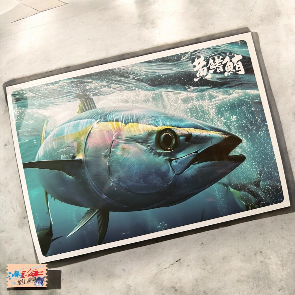 中壢鴻海釣具 原創手繪貼紙 魚類貼紙 墨烏賊 馬加 鰤 黃鰭鮪-細節圖5