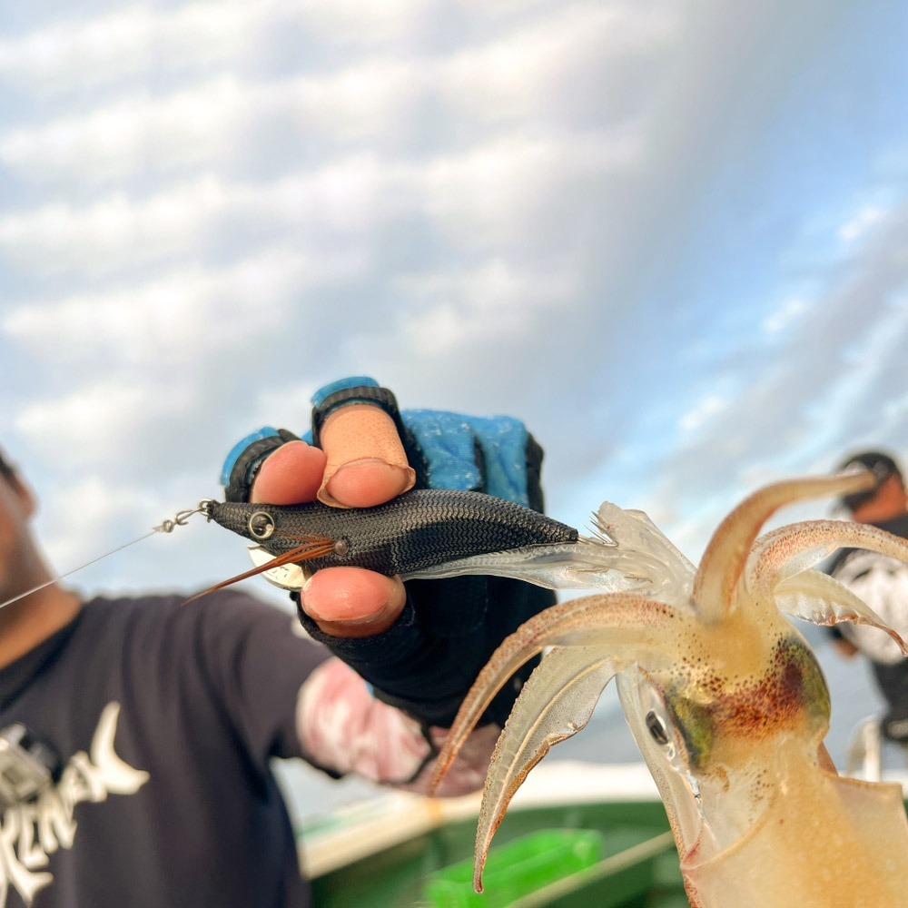 【BREADEN】 日本EGIMARU天空EMPTY 2.5号(76mm)Slow(慢速) /Free 透抽布捲 木蝦-細節圖6