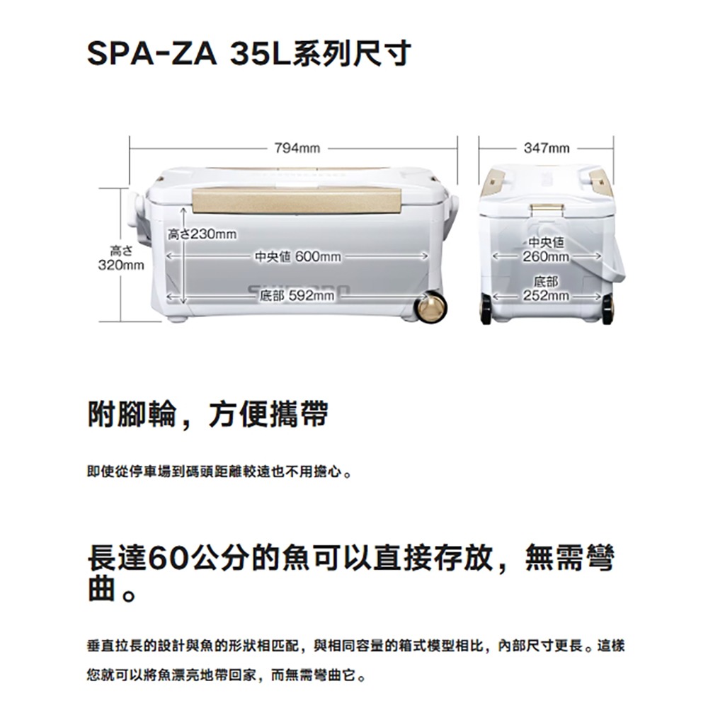 中壢鴻海釣具【SHIMANO】 NS-125Y SPAZA PREMIUM 250 白色底六面真空冰箱  (24年新款)-細節圖4