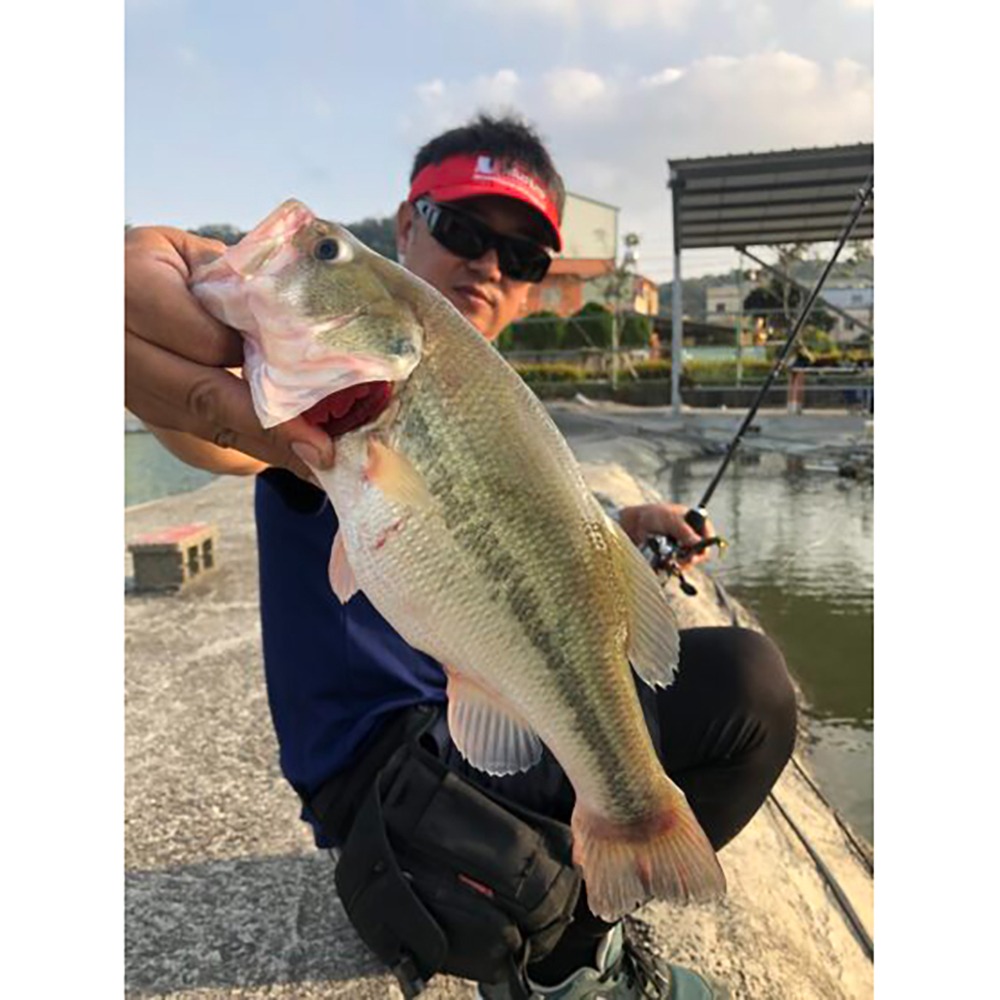 中壢鴻海釣具【Mustad】 MAP 內德鉛頭鉤 鉛頭鉤/Jig Heads 魚鉤/Hooks-細節圖9