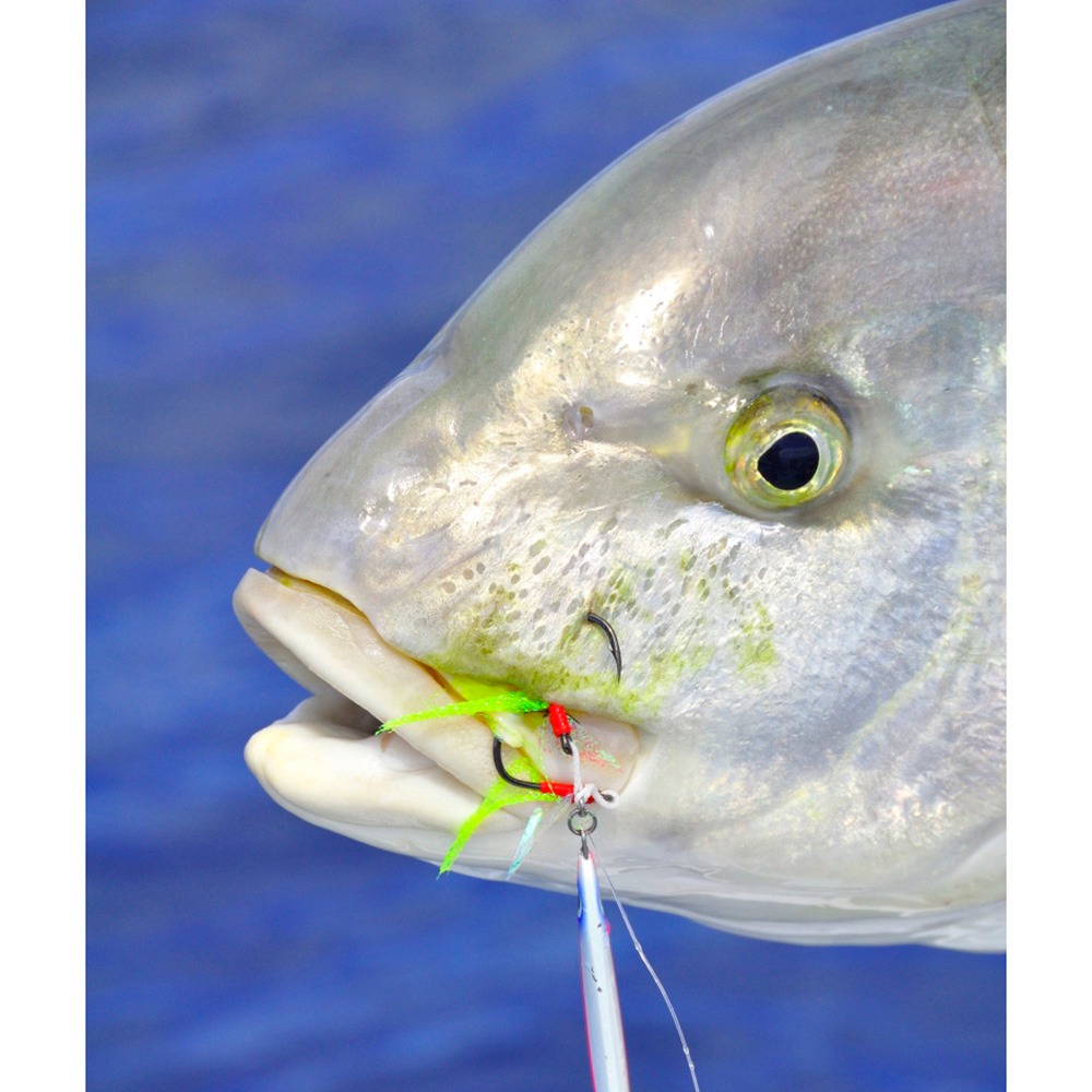 中壢鴻海釣具【Mustad】YAMAGAMI 超微鐵專用鉤組-細節圖9