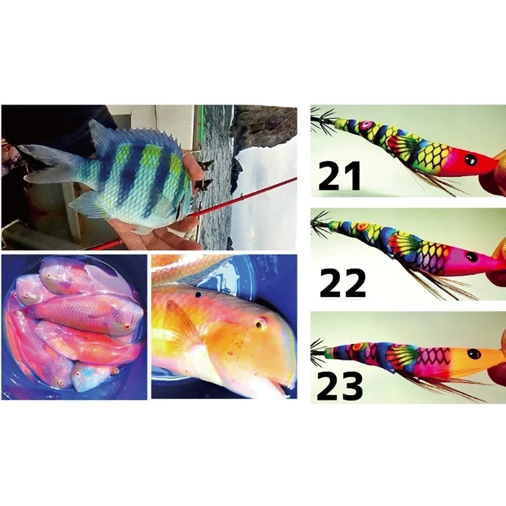 中壢鴻海釣具 厚殼蝦- 透抽布捲 2025 全新 厚殼蝦 厚殼仔 透抽 布捲 95mm 21~46號-細節圖2