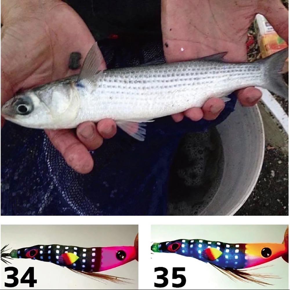 中壢鴻海釣具 厚殼蝦- 透抽布捲 2025 全新 厚殼蝦 厚殼仔 透抽 布捲 95mm 21~46號-細節圖5