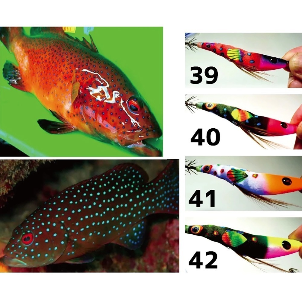 中壢鴻海釣具 厚殼蝦- 透抽布捲 2025 全新 厚殼蝦 厚殼仔 透抽 布捲 95mm 21~46號-細節圖6