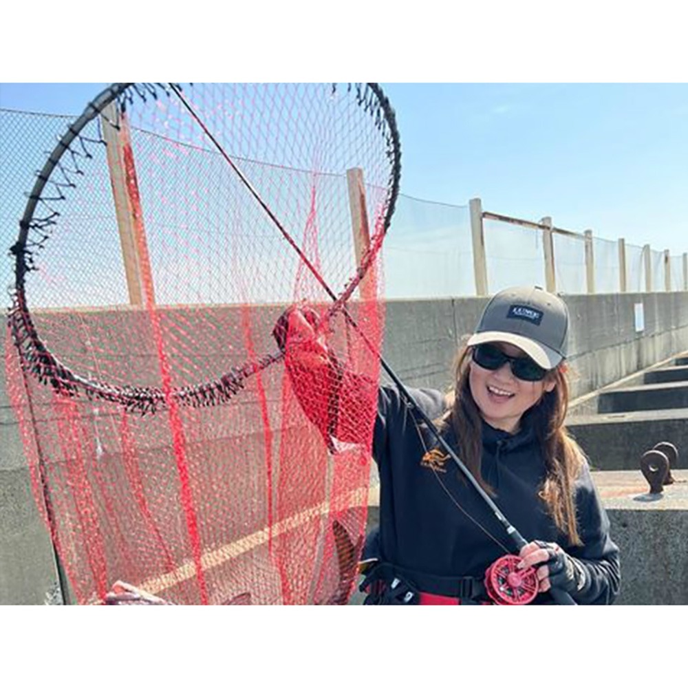 中壢鴻海釣具【SIYOUEI】 昌榮 ウルトラフレーム 極 Ver.II 網付 網框 磯撈網-細節圖3