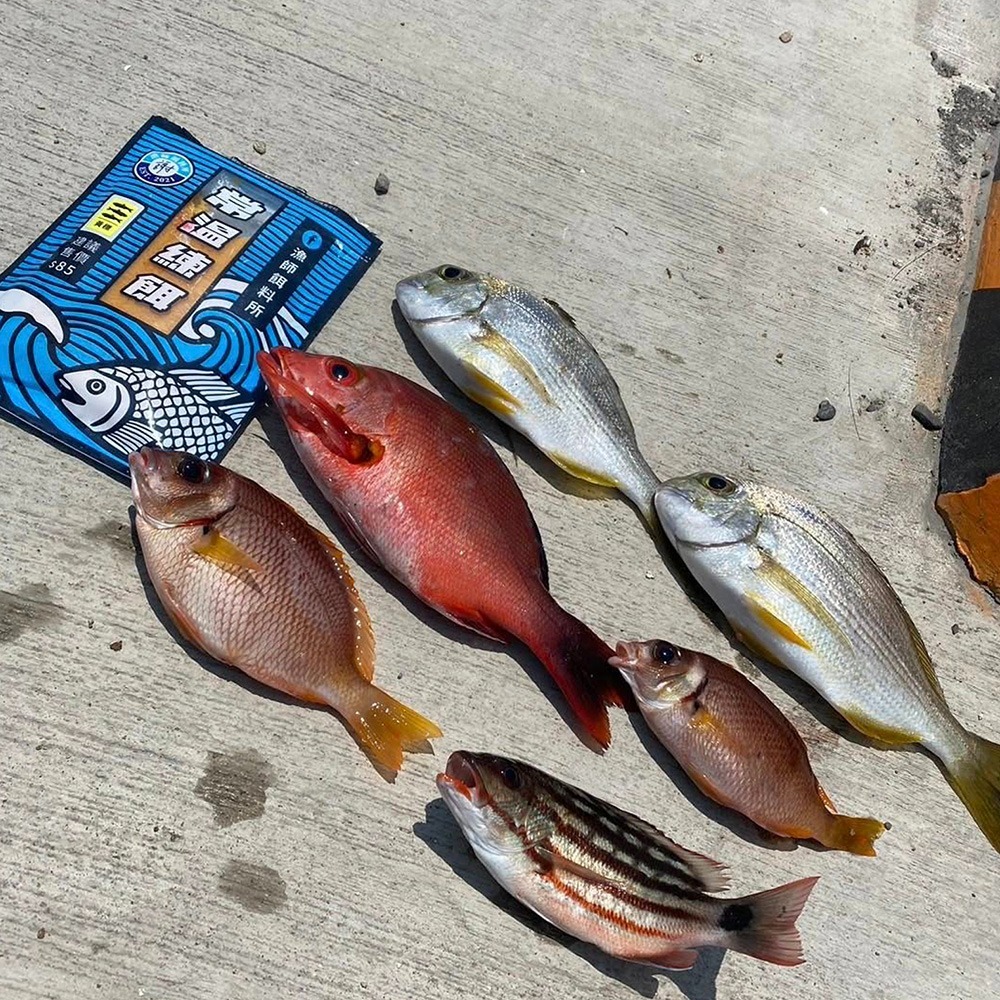 中壢紅海釣具 漁師常溫練餌-黃標 紅標 海水、淡水、池釣練餌 爆咬、便利、免冰-細節圖4