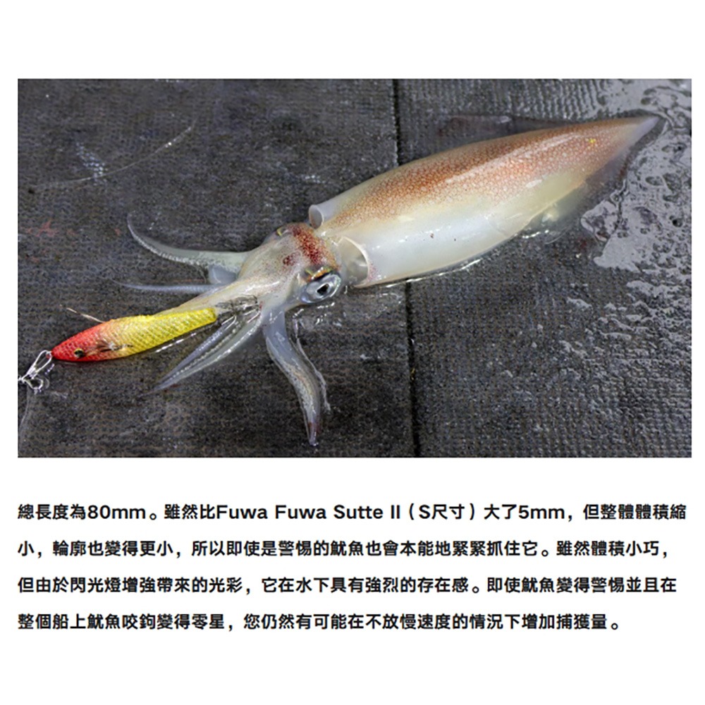 中壢鴻海釣具【SHIMANO】 QS-Q80X 80mm 透抽布捲 假餌-細節圖4