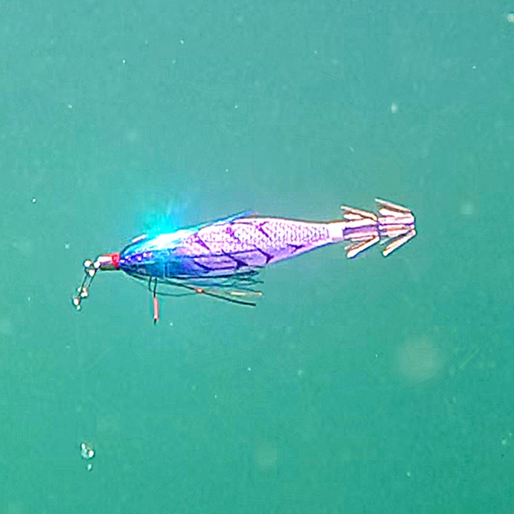 中壢鴻海釣具【DUEL】 A1862 SQUID JIG Picca  胖胖魚 80mm透抽布捲 (25年款)-細節圖6