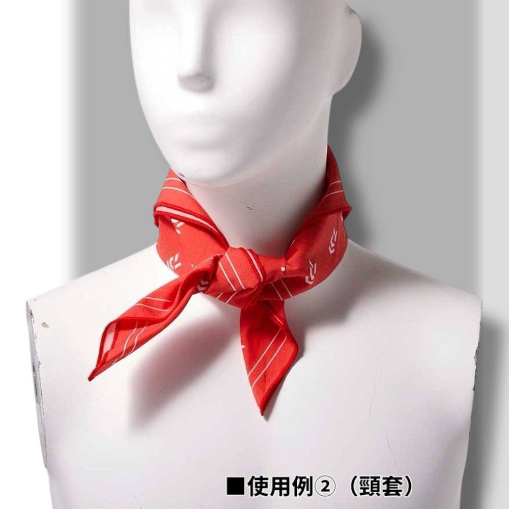 中壢鴻海釣具【DAIWA】DA-6225 釣魚方巾 頭巾 FREE [25年款]-細節圖4