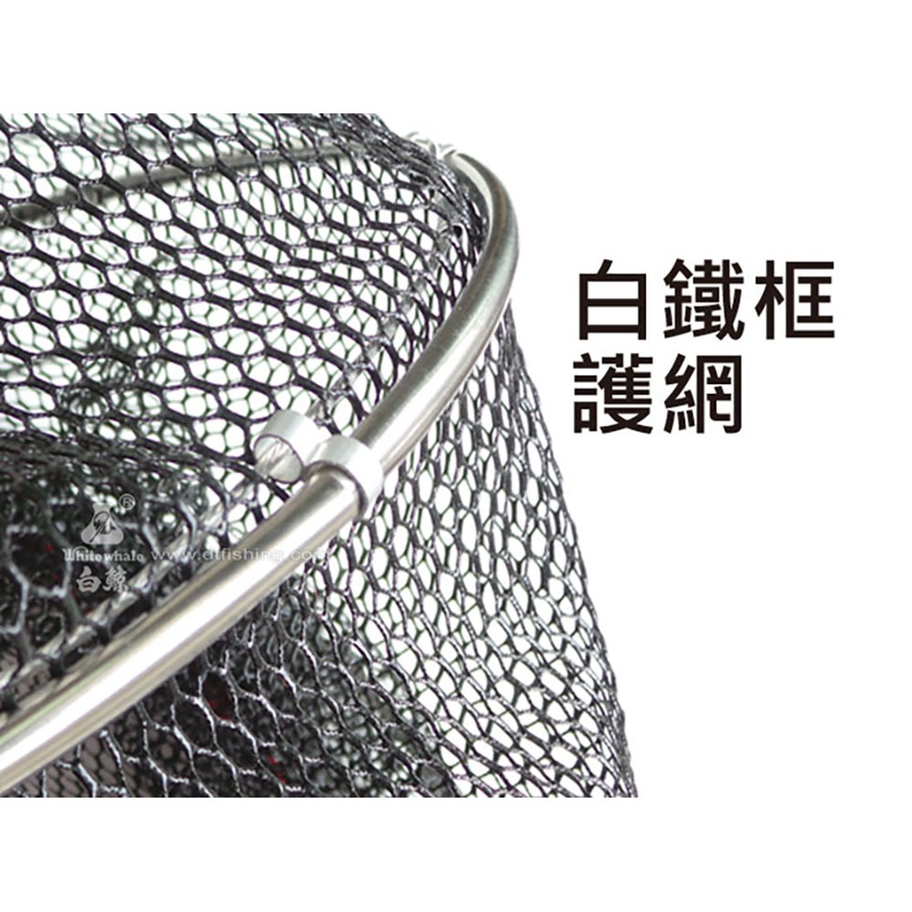中壢鴻海釣具【白鯨】白鯨蝦戰網(白鐵框) 3尺4環+1尺框(網袋+快拆自重棒)-細節圖7