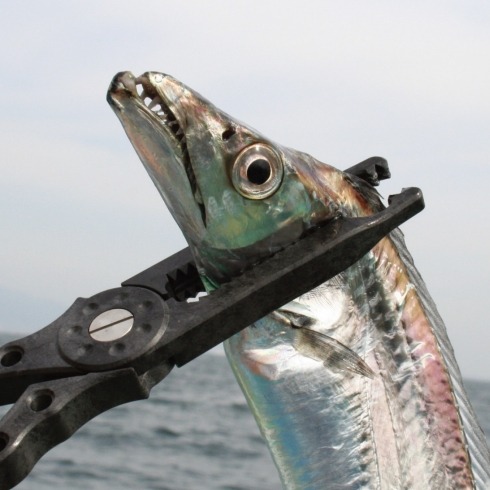 中壢鴻海釣具【DAIICHISEIKO】第一精工 GAR GRIP MC 魚夾#黑色-細節圖7