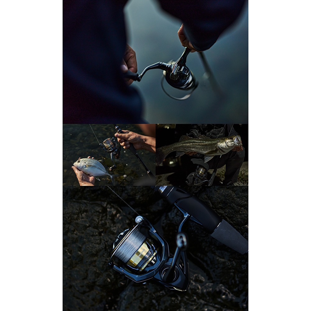 中壢鴻海釣具【SHIMANO】 ULTEGRA 泛用型 紡車捲線器 (25年款) 磯釣 海釣 路亞-細節圖2