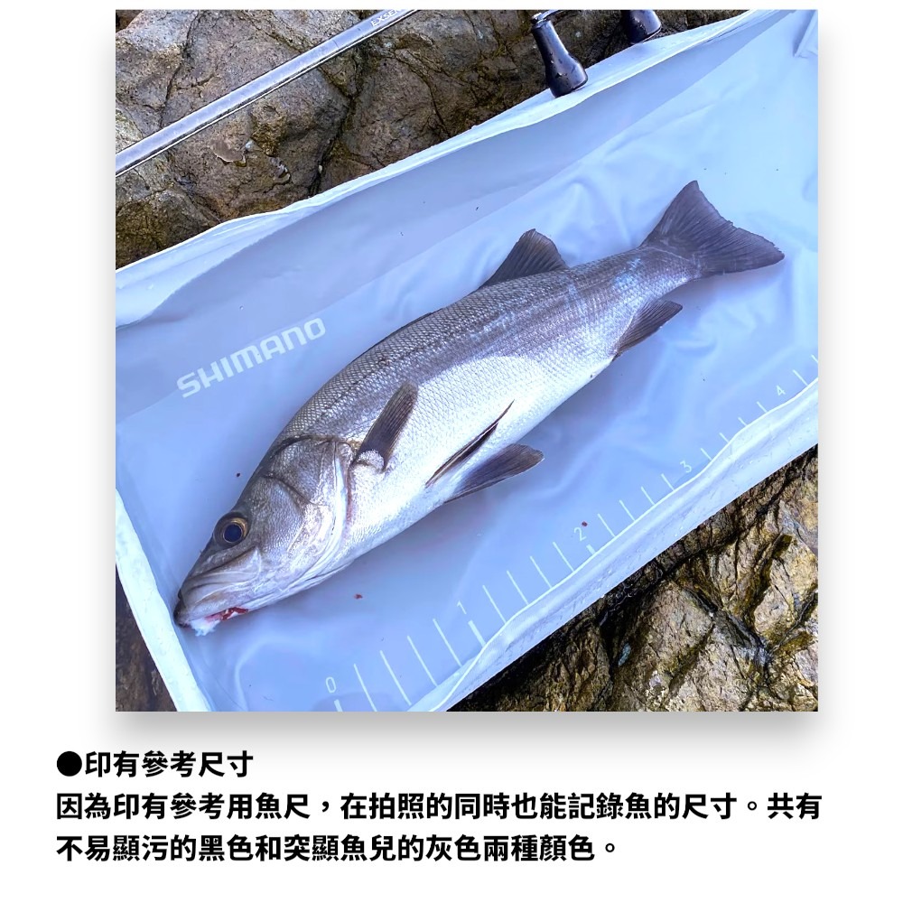 中壢紅海釣具【SHIMANO】BA-027Y 輕便折疊魚池 後車箱托盤 活魚攝影棚-細節圖4