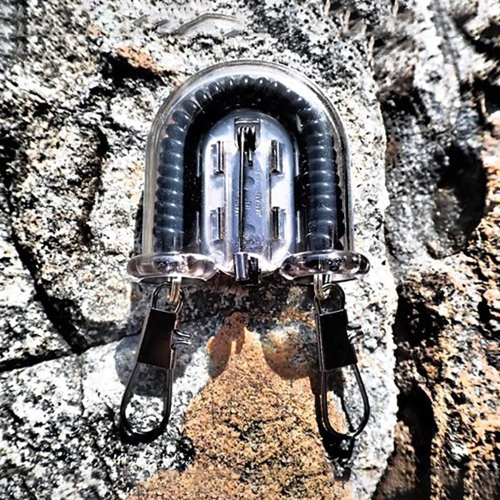 中壢紅海釣具【YOU-SHI】 雙拉伸縮扣 線圈不纏繞 最長可延伸至27 公分-細節圖8