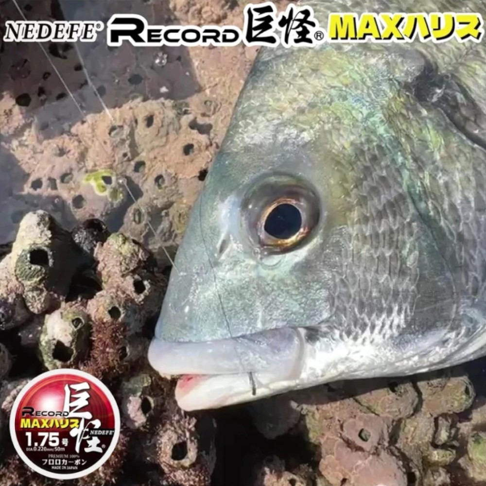 中壢紅海釣具【NEDEFE】巨怪碳子線(50M) 卡夢線 碳纖線-細節圖4