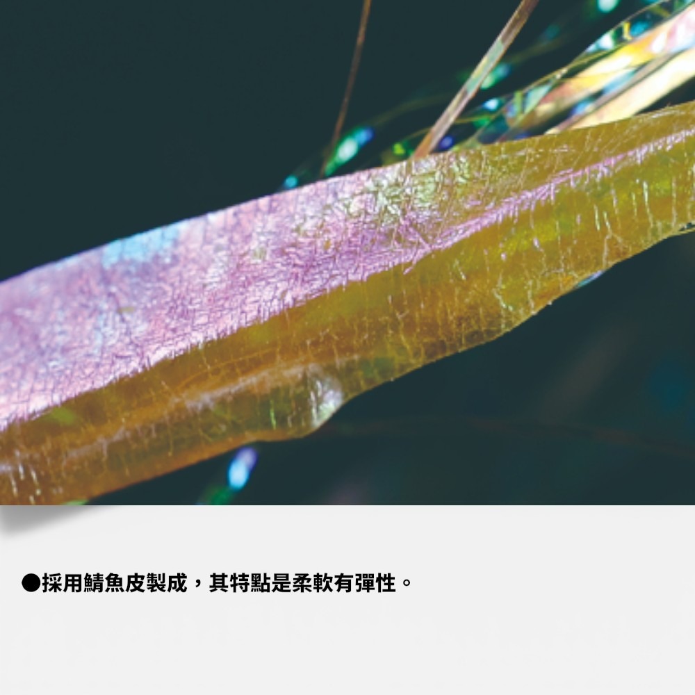 中壢紅海釣具【Hayabusa 】EX-128 SABIKI 魚皮仕掛-細節圖8