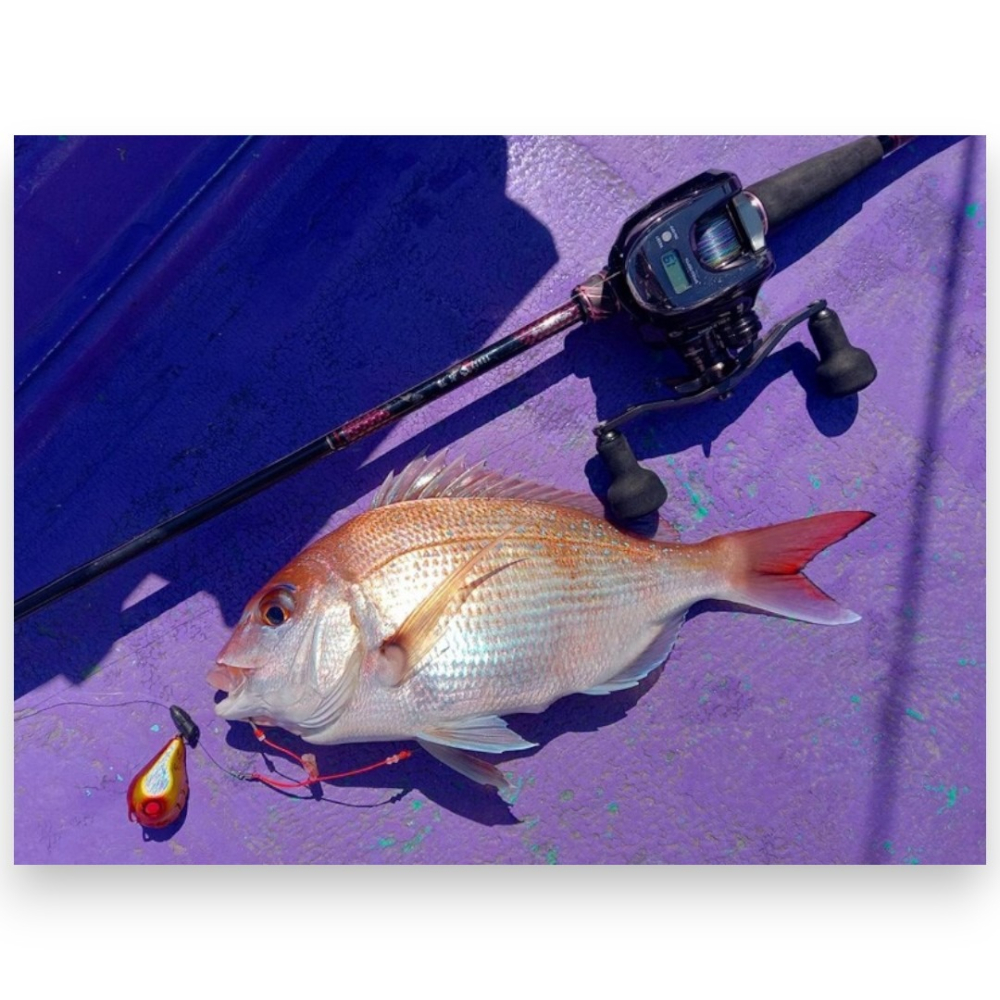 中壢紅海釣具【DAIWA】紅牙 KOHGA FREE RIG 遊動丸天亞 SS 深場急流專用 真鯛天亞-細節圖5