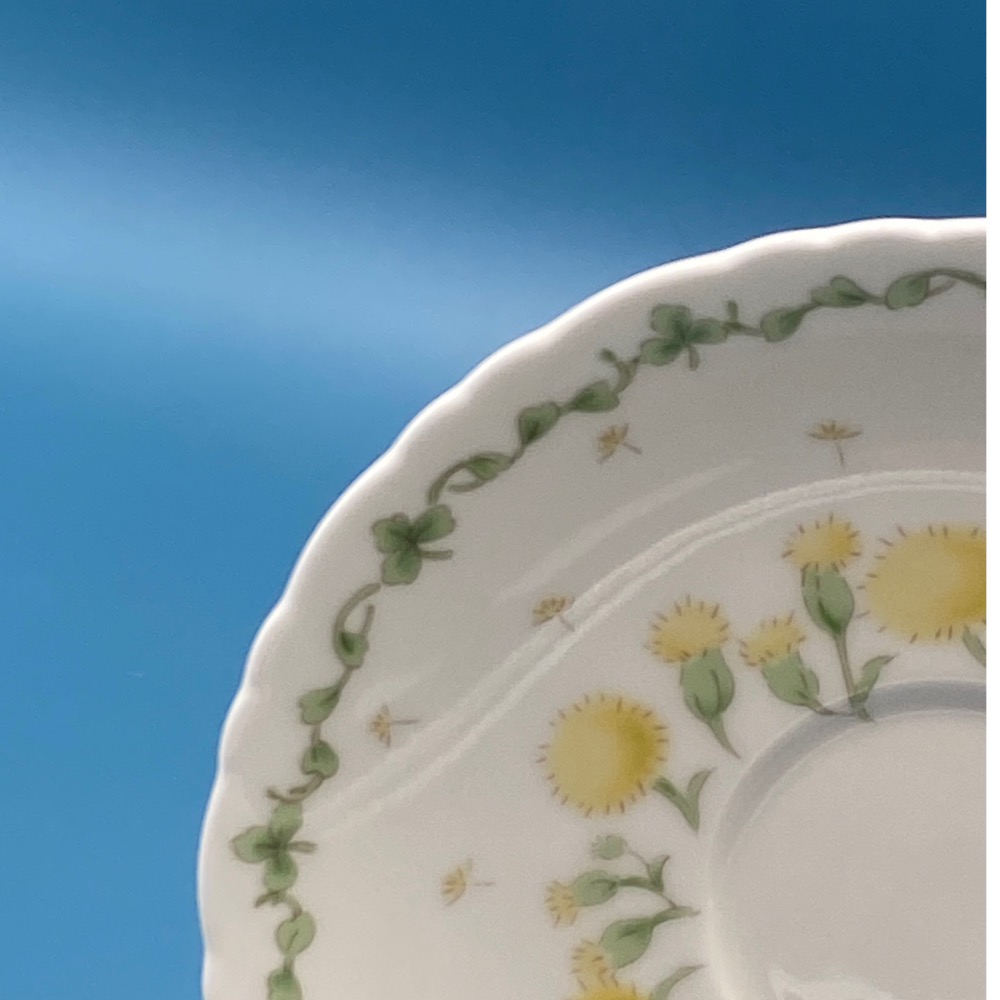 日本Hoya保谷小花詩集骨瓷咖啡/花茶杯組（9405-5-32-23）-細節圖5