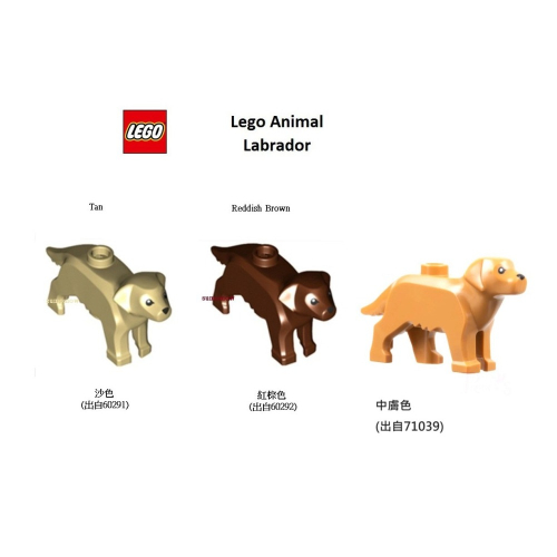 {全新} LEGO 樂高 拉布拉多 黃金獵犬 Labrador 60291 60292 導盲犬 拉不拉多