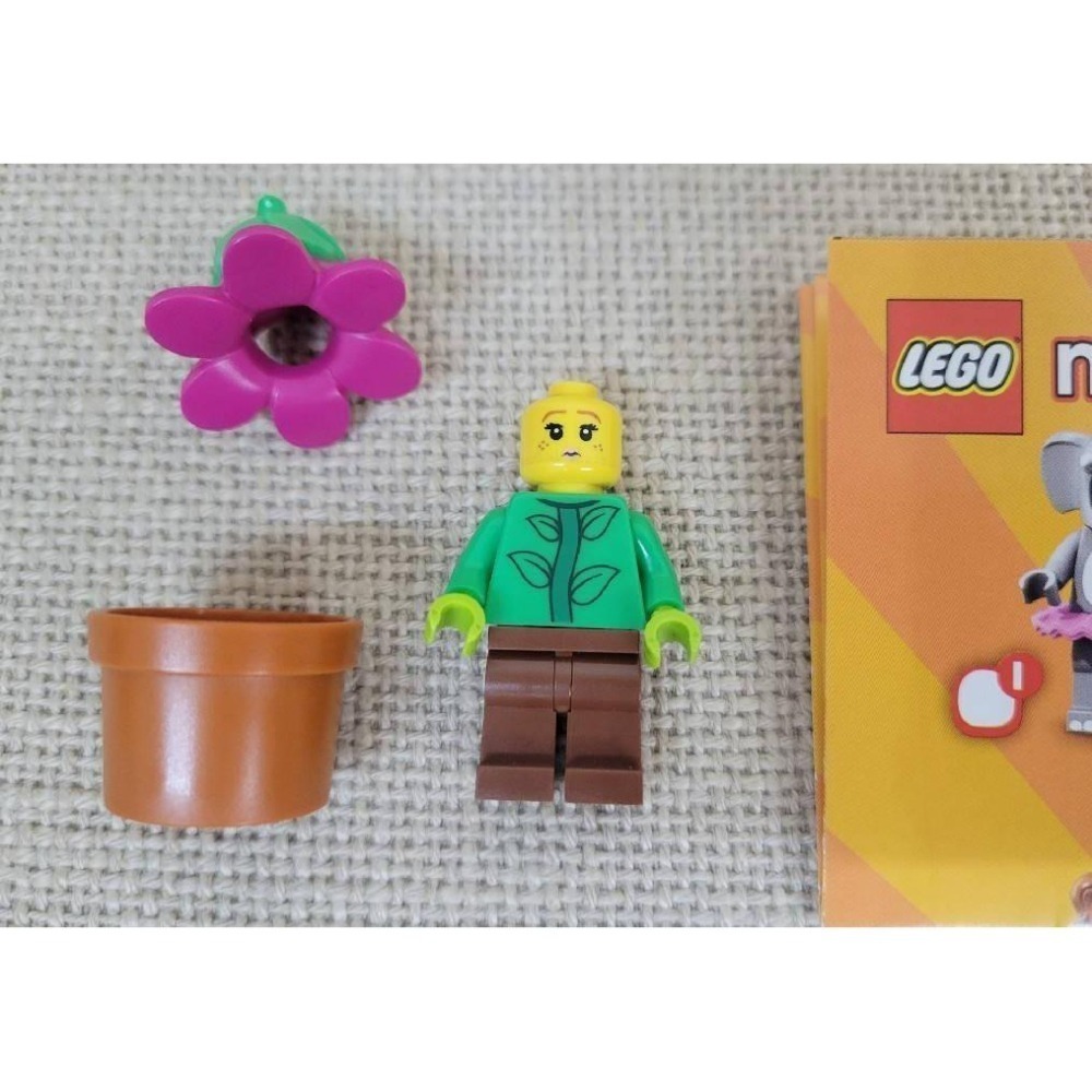 {全新} LEGO 樂高 花朵人 花花人 71021 71037 BAM 自組人偶 磚頭人 植物人 青鳥 泰迪熊-細節圖3