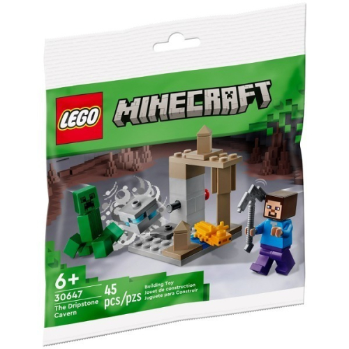 {全新} LEGO 樂高 30647 苦力怕 鐘乳石洞探險 麥塊 Polybag 袋裝