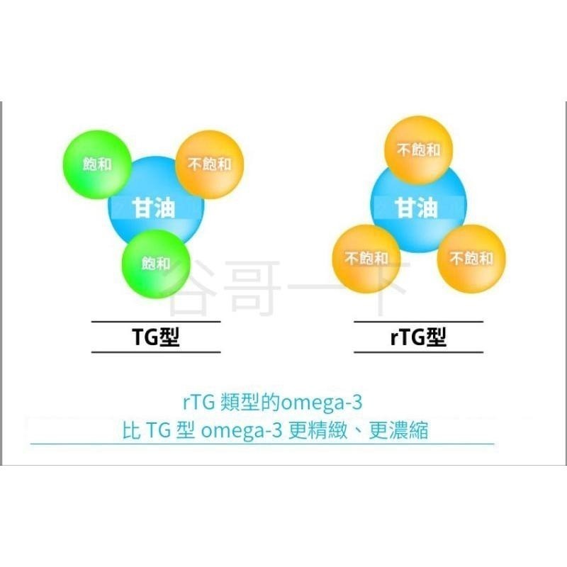 [谷哥] 艾多美 日貨 Atomy JP rTG型魚油-細節圖3
