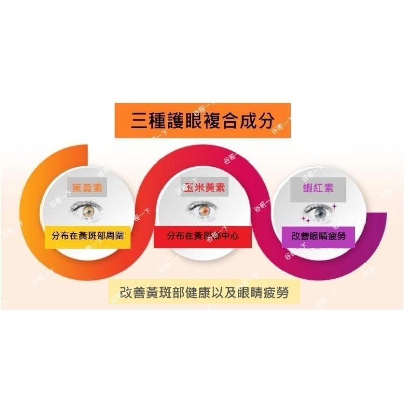 [谷哥] 艾多美 韓貨 atomy KR 艾視寶 護眼寶-細節圖5