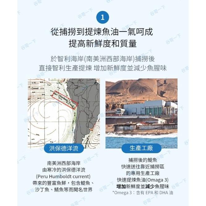 [谷哥] 艾多美 韓貨 atomy KR rTG魚油 魚油 [現貨]-細節圖3