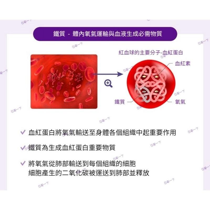 [谷哥] 艾多美 韓貨 atomy KR 鐵劑/素食者可吃 (現貨)-細節圖3