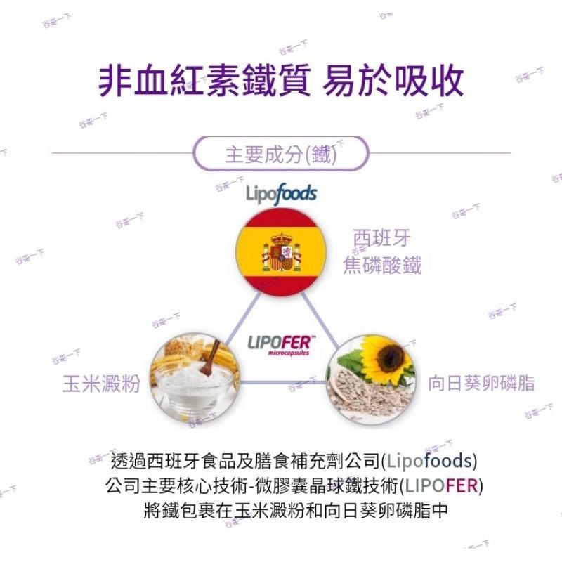 [谷哥] 艾多美 韓貨 atomy KR 鐵劑/素食者可吃 (現貨)-細節圖5