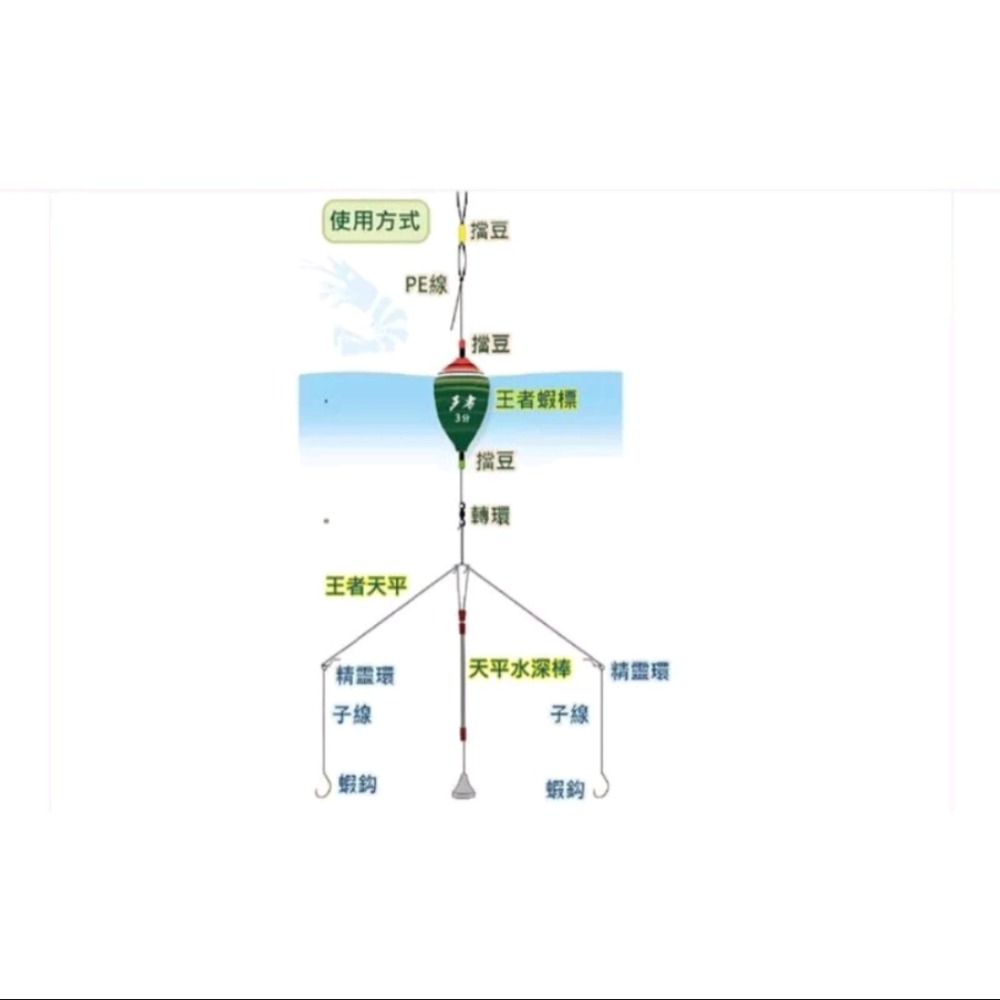 冠軍釣具 OWNER王者天平釣組6尺7尺 非常愛釣蝦  天平套組-細節圖4