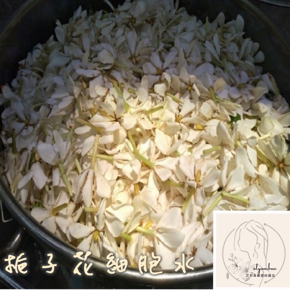 艾莉森 嚴選 （鮮花萃）梔子花 細胞水 ～獨家 低溫萃取 潔白無瑕 最佳代表永恆的愛 芬芳四溢 香飄十里 香氣逼人-細節圖2