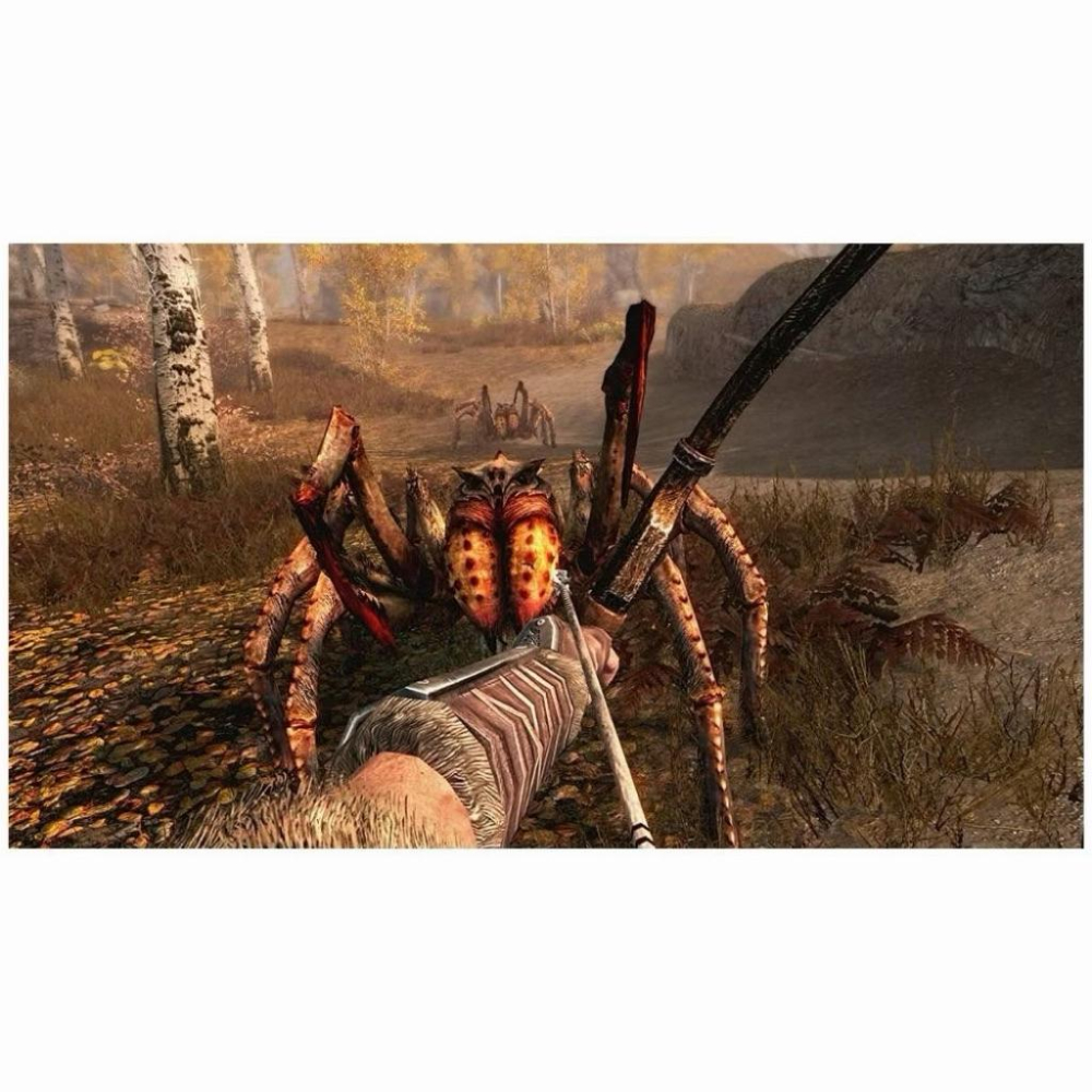 【瑞比電玩】NS Switch 上古卷軸5 無界天際 上古5 上古卷軸V：無界天際 Skyrim中文版-細節圖2