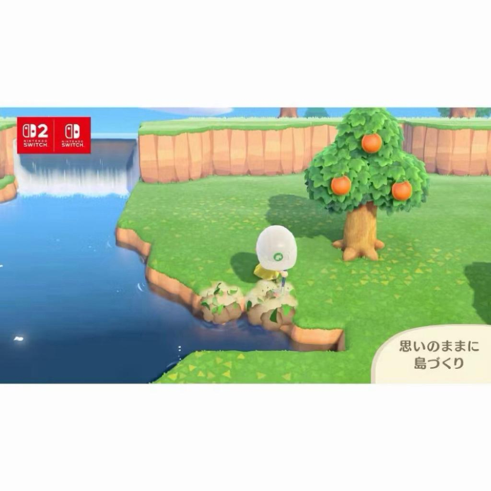 【瑞比電玩】任天堂 Switch 2 集合啦！動物森友會 中文版-細節圖2