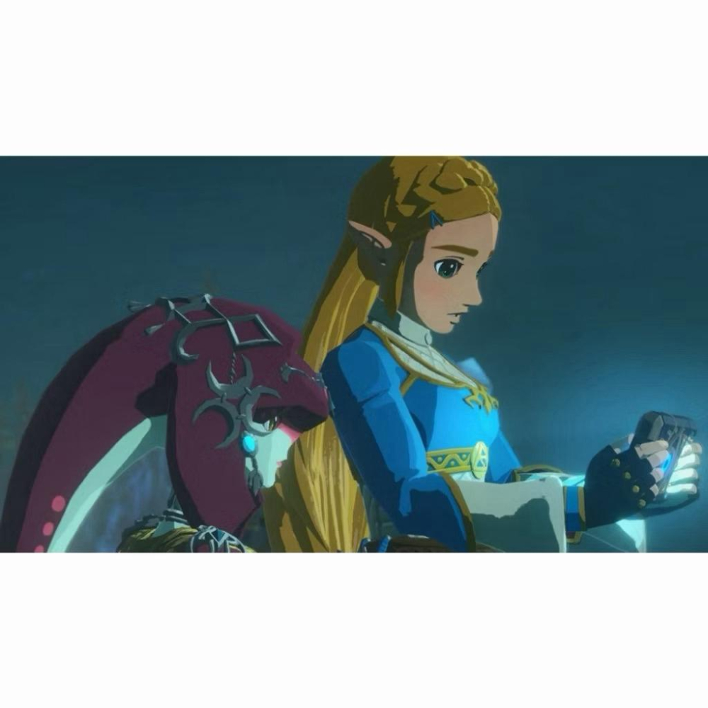 【瑞比電玩】NS Switch 薩爾達無雙 災厄啟示錄 中文版 ZELDA 薩爾達災厄 薩爾達無雙災厄的默示錄-細節圖5