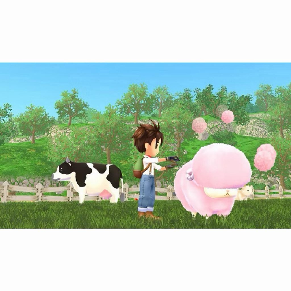 【瑞比電玩】NS Switch 牧場物語 Welcome ! 美麗人生 中文版 牧場 種田 養牛 物語 美麗-細節圖4